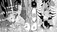 Noelle's last attack to pierce the heart of Megicula (Image Source: Shueisha)